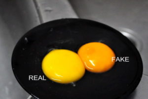 fake or real eggs