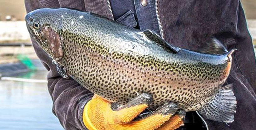 Bukoto Heights Apartments